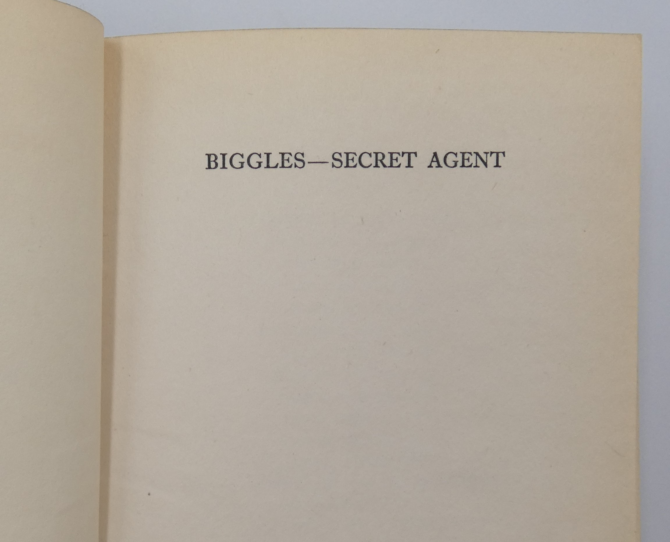 agent 13